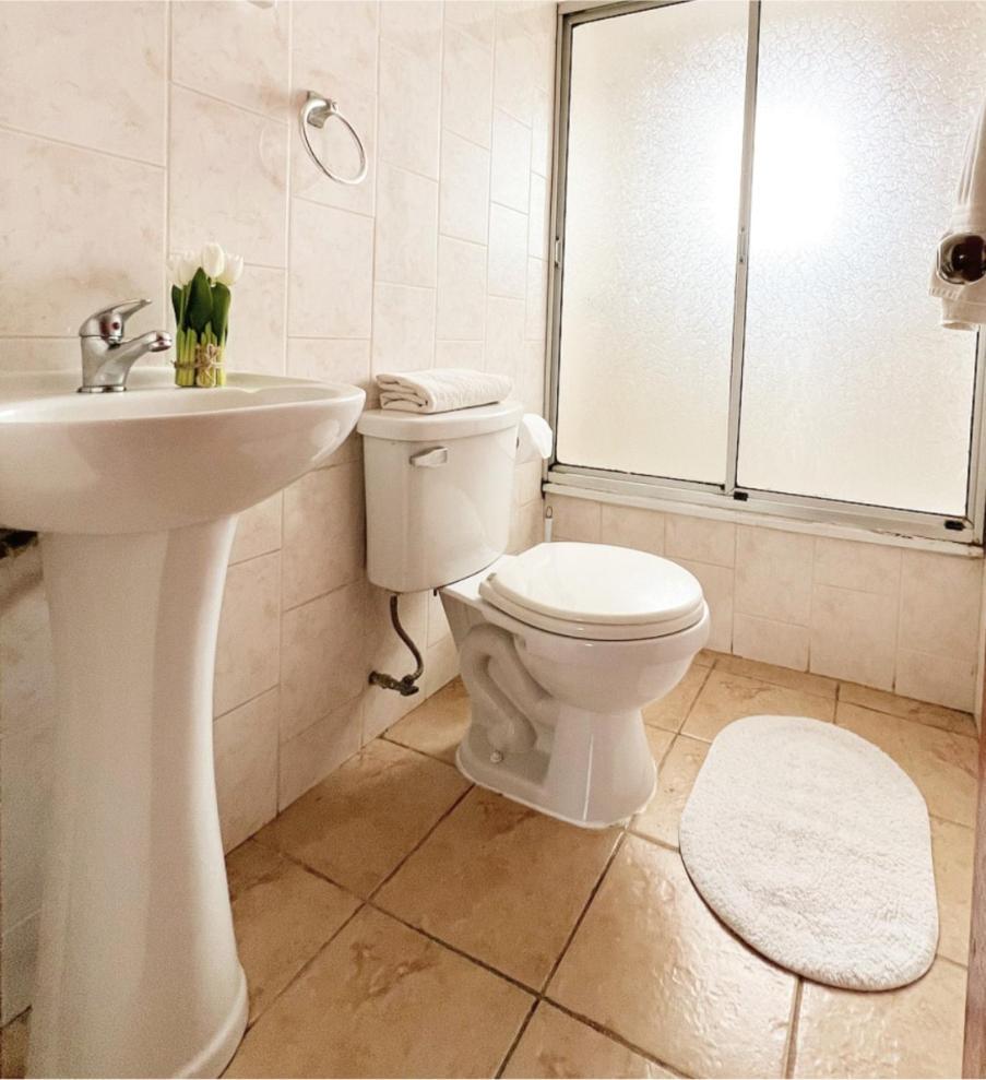 Hostal Feliza Valdivia Bagian luar foto